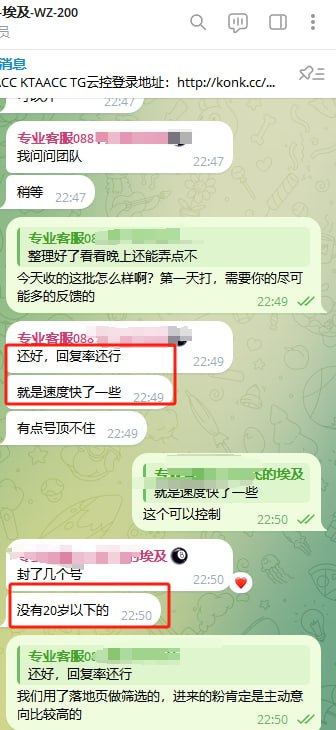 埃及是我们重点国家，已经开打。网赚兼职类，回复率高，年龄合适。甲方后续开发进展，持续跟进中