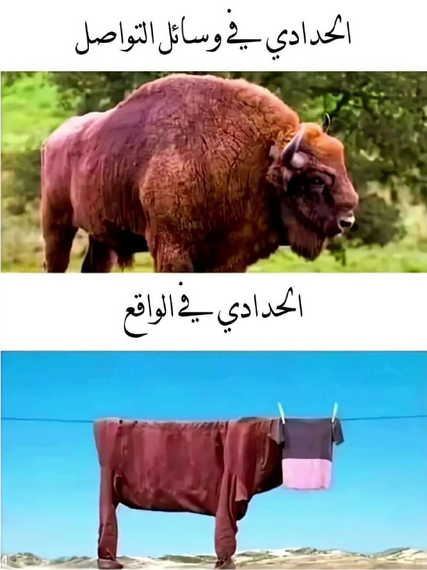 **متابعة طيبة ***🙂*****