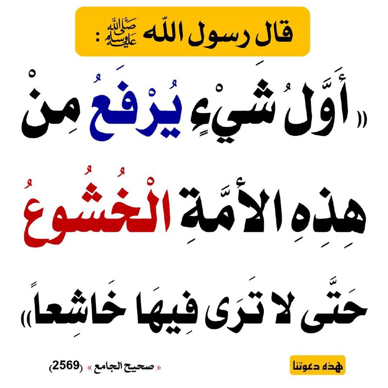 رابط القناة على اليليجرام :