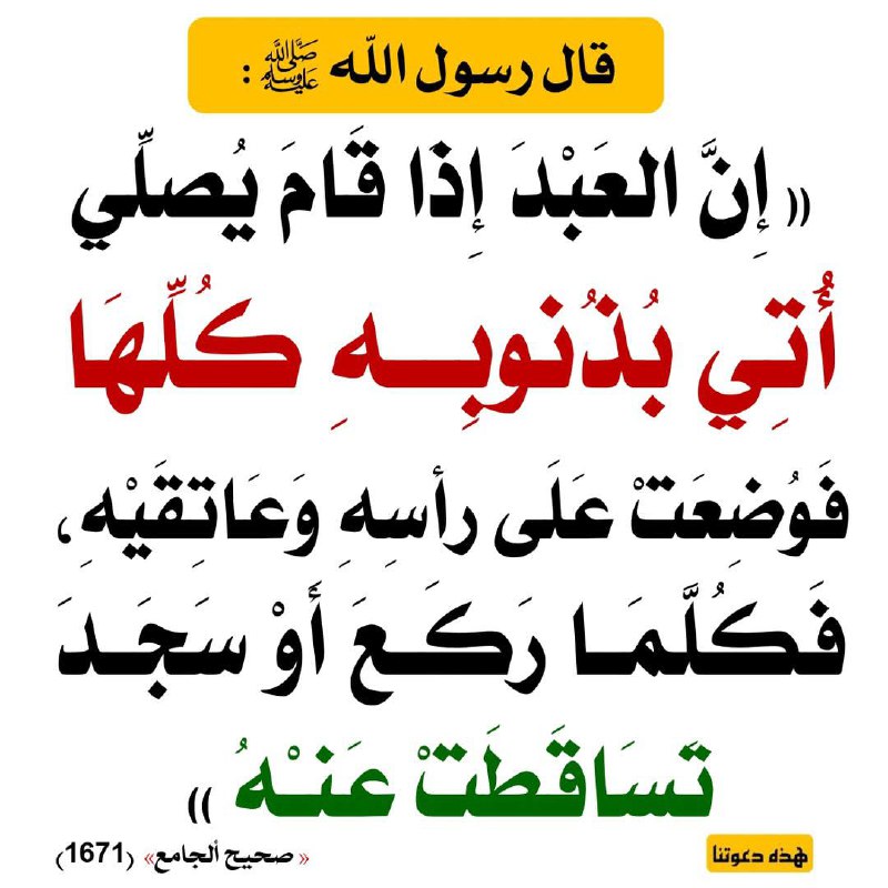 رابط القناة على اليليجرام :