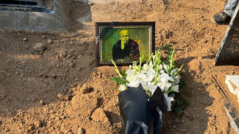 طنزنویس محبوب به وطن بازگشت و …