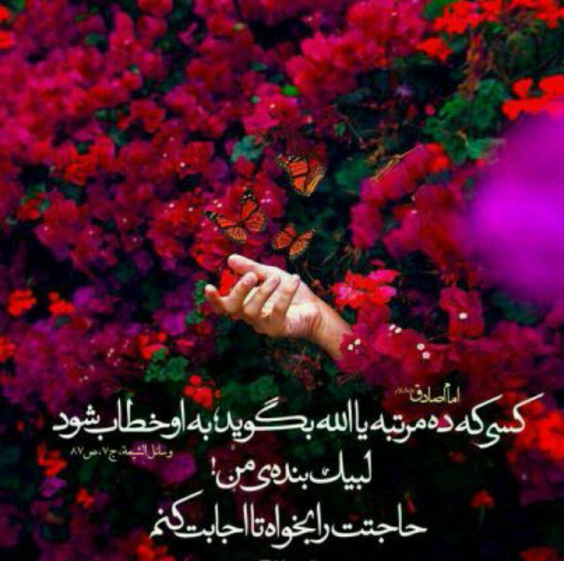 ***🌷*** امام صادق (علیه السلام) :