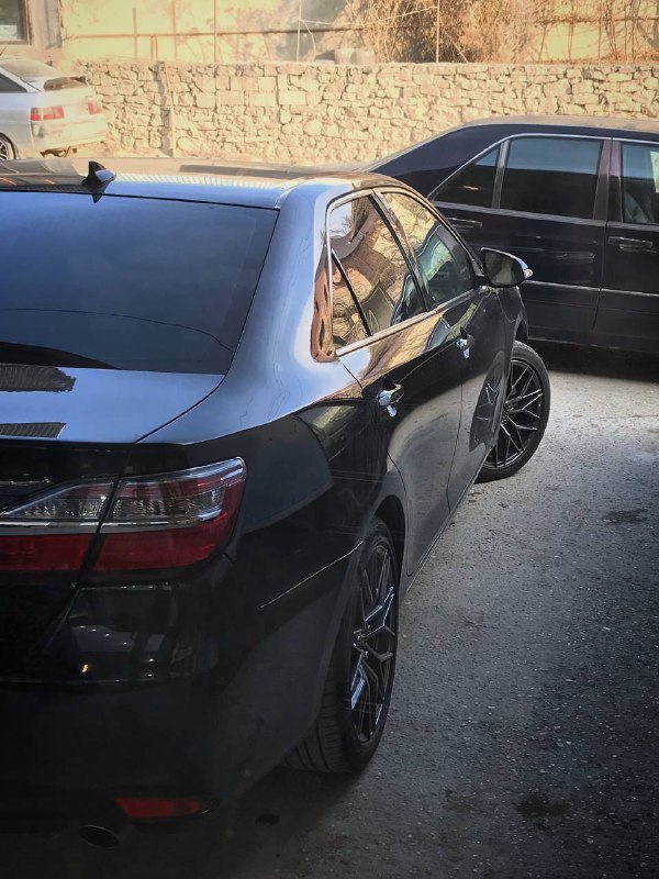 𝚂𝙷𝙰𝙼 | 𝙿𝚑𝚘𝚝𝚘𝚐𝚛𝚊𝚙𝚑𝚢 🇵🇸