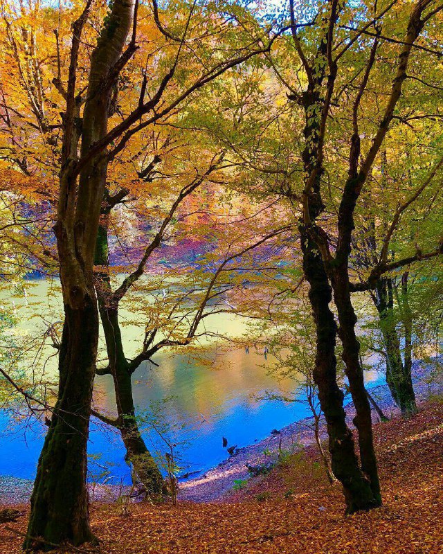 زیبایی های ایران