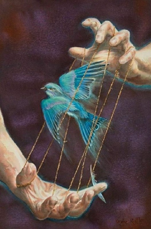 نمی توانم،