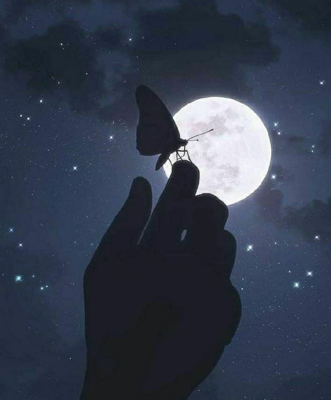 و مشکل