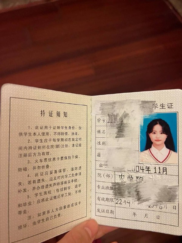 海鸥的朋友圈🫧