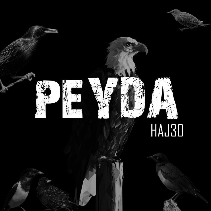 «Peyda» by Haj30 is out now