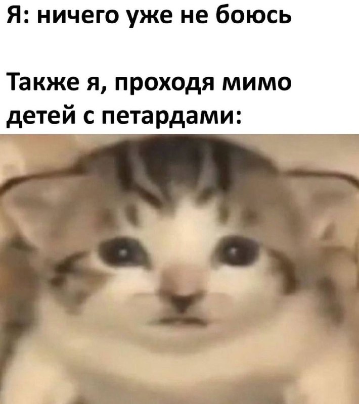 ***🖤***[Мемы с котами](https://t.me/hajimemes)