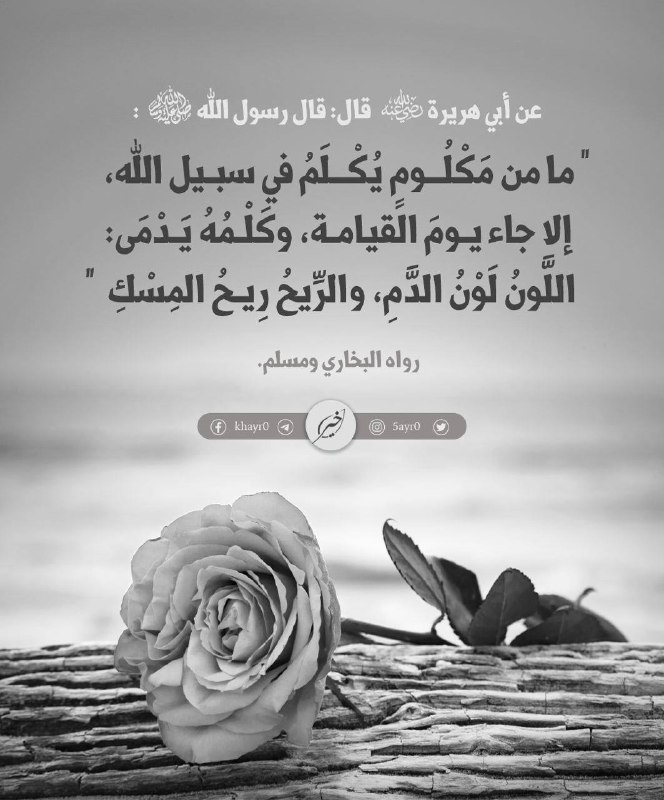 أروع الحالات الدعوية