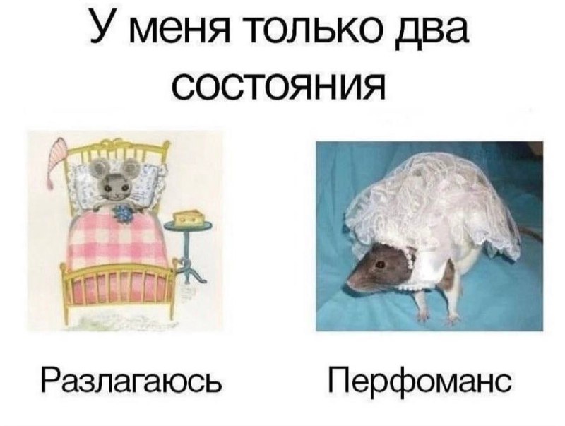 Половина деда