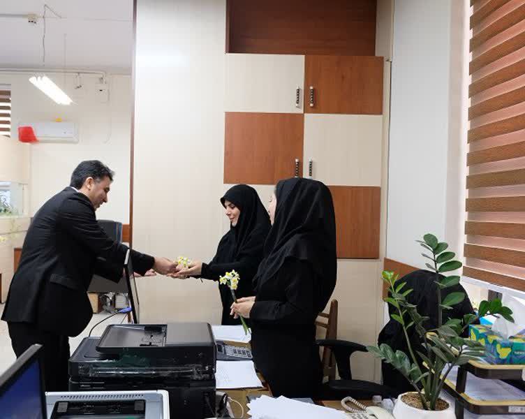 حامی شهر