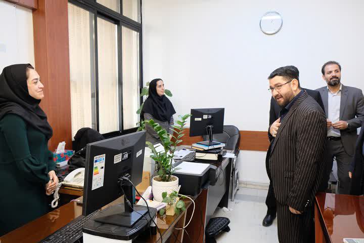 حامی شهر