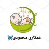 همکاری محمودی