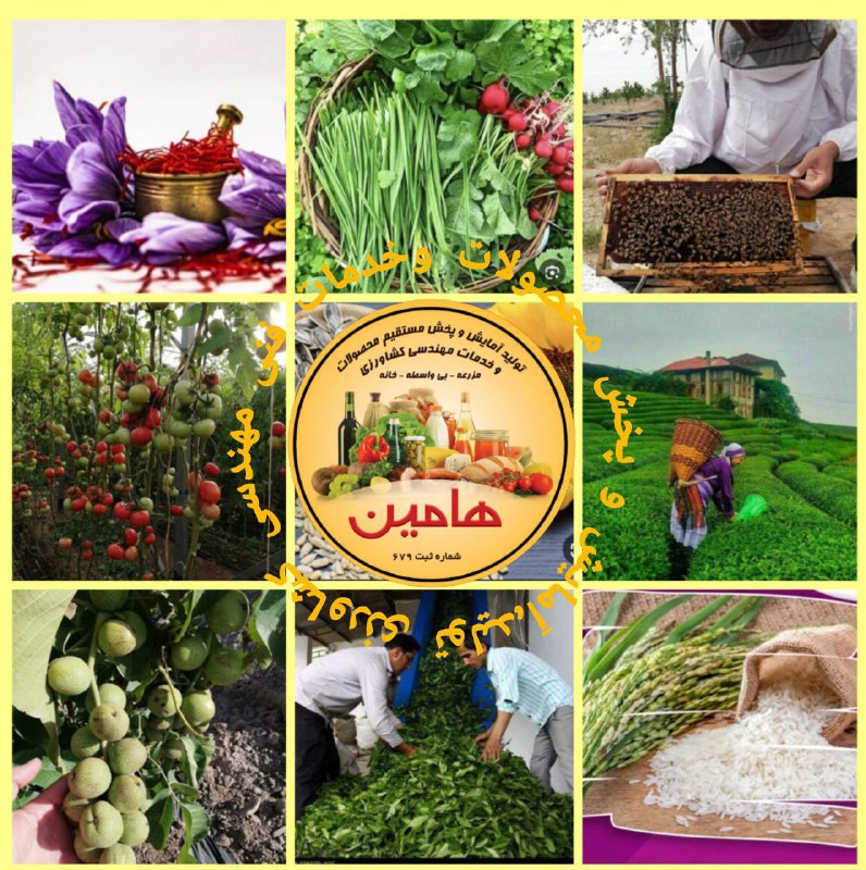 ***☀️***هامین***☀️***
