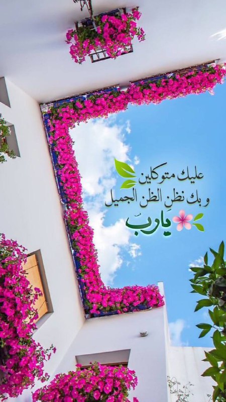 **صباح الخير ،، وبعد