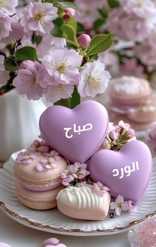‏صباح جمـــيلٌ ..