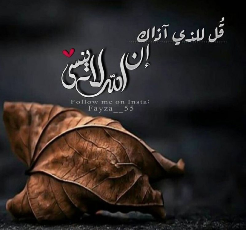 🕊 هـــ🔖ــــمســة_امـــل 🕊