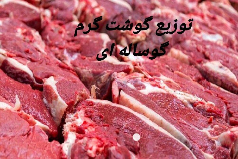***?*****توزیع گوشت گرم گوساله به قیمت …