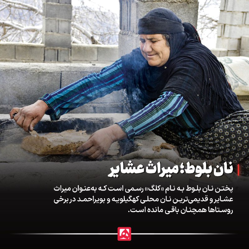 نان بلوط میراث عشایر