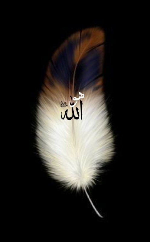 قال تعالى : **﴿وَإِن يُرِدكَ بِخَيرٍ …