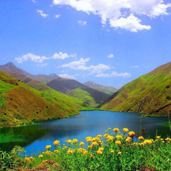 **تــــو اگر دلگیری**