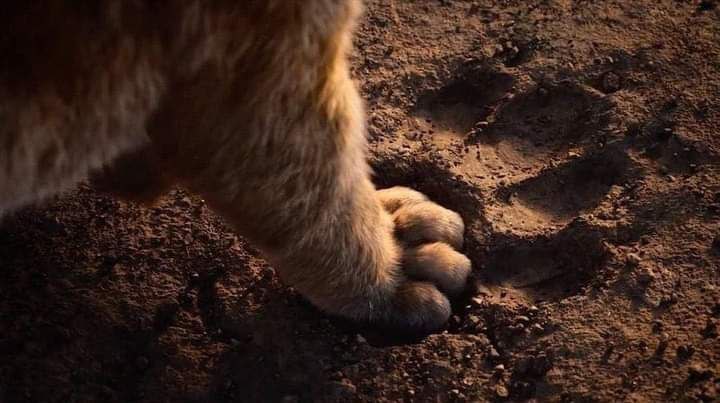 لا تطمح أن تكون أفضل من …