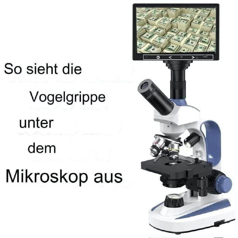 **Auweia Vogelgrippe kommt ***?‍♂️*****