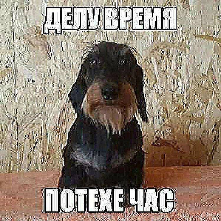 Happy choch