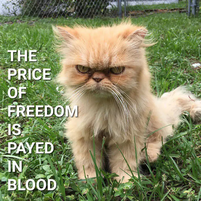 **The price of freedom is payed …