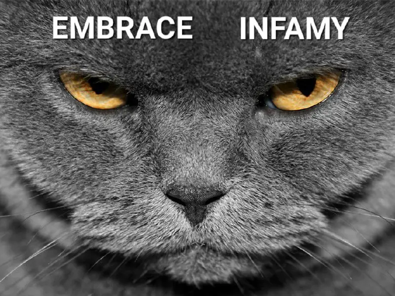 **Embrace Infamy.**[*****🐈*** Happy Kitties**](http://t.me/HappyKitties)