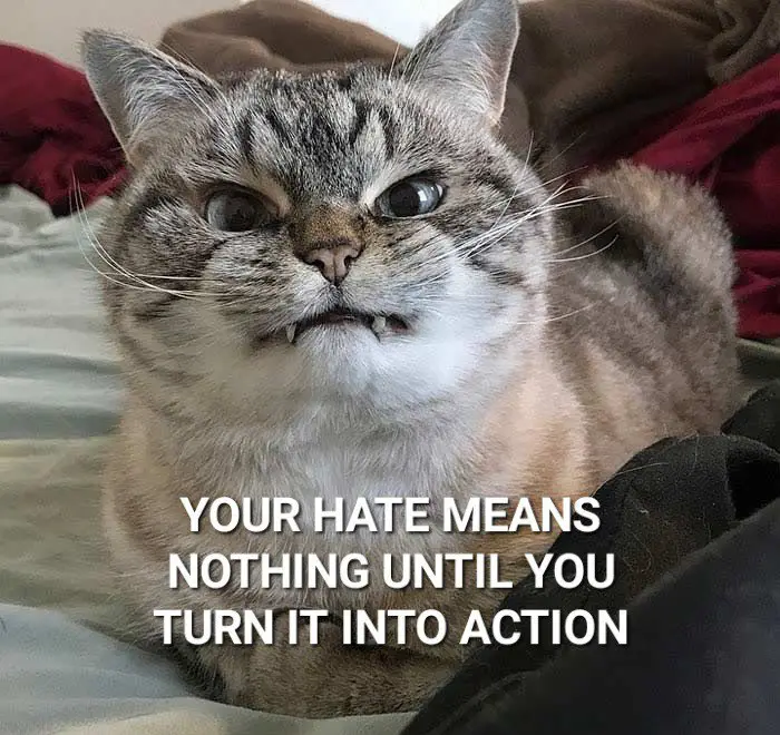 **Your hate means nothing until you …