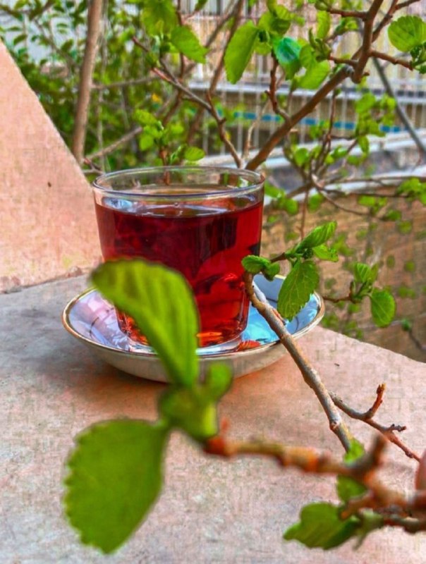 هاراگرام🌱