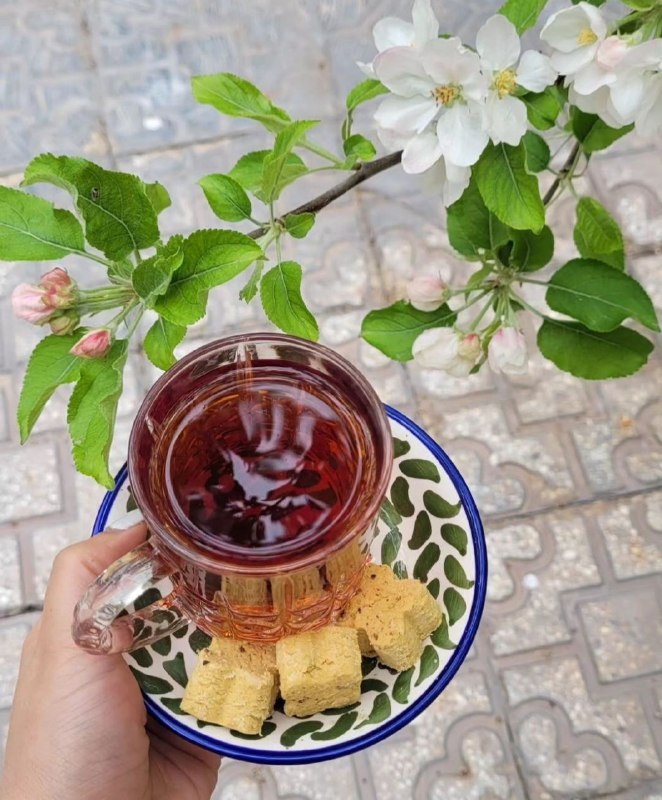 هاراگرام🌱