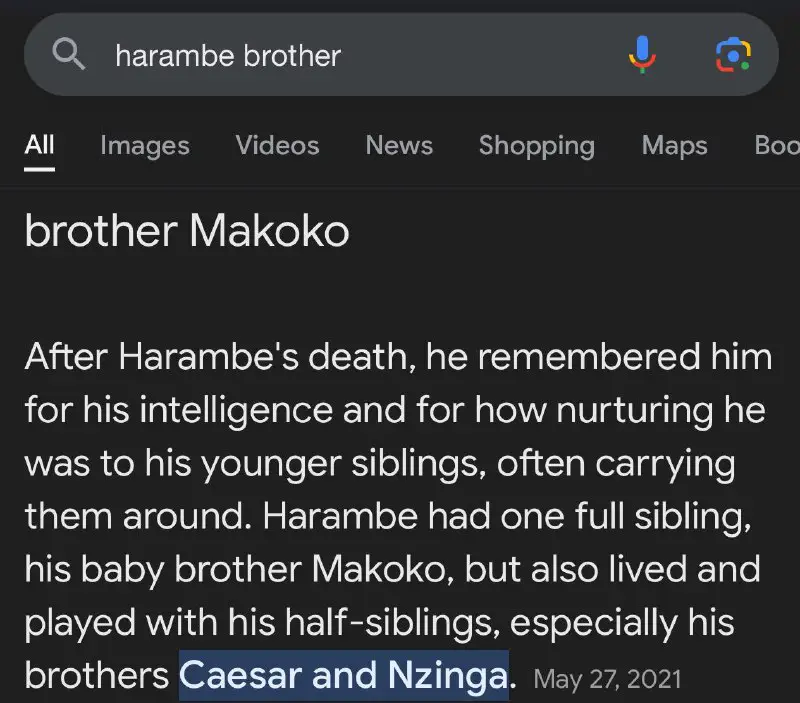Makoko - Harambe Brother Announcement
