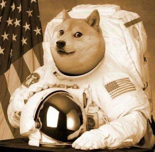 **Луна ждет: DOGE готов устроить ралли?**