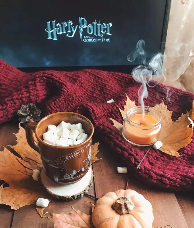 ***🍁*** Autumn vibes in Harry Potter …