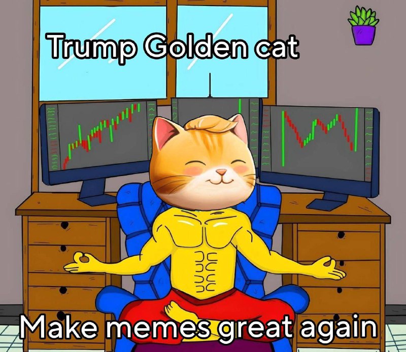 **Trumps CAT*****🔶***