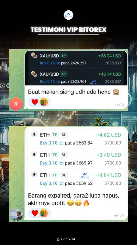 Hasil Profit Bitorex