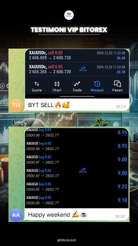 Hasil Profit Bitorex