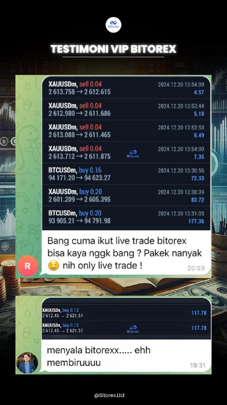 Hasil Profit Bitorex