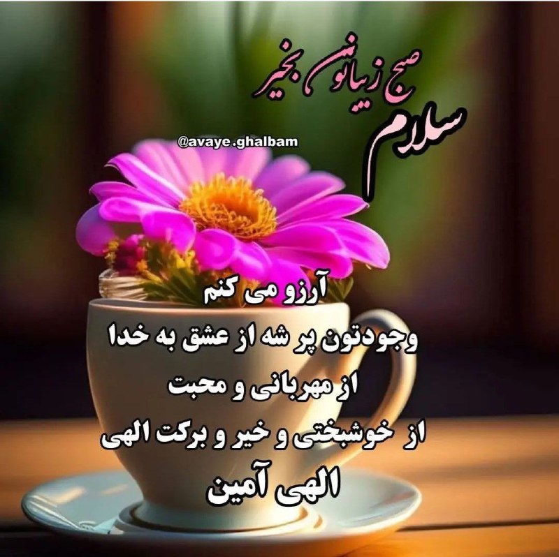 هرڪس صبح سہ مرتبہ بگوید:
