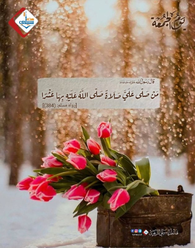 هذه سبيلي
