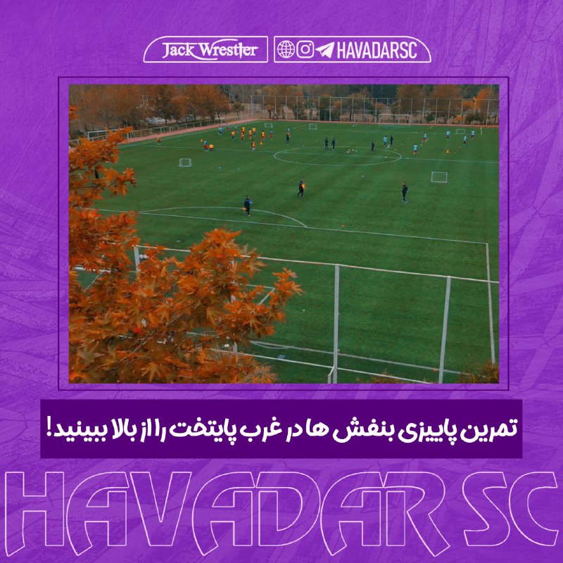 **تمرین پاییزی بنفش ها در غرب …