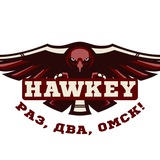 HAWKS AND WINGS