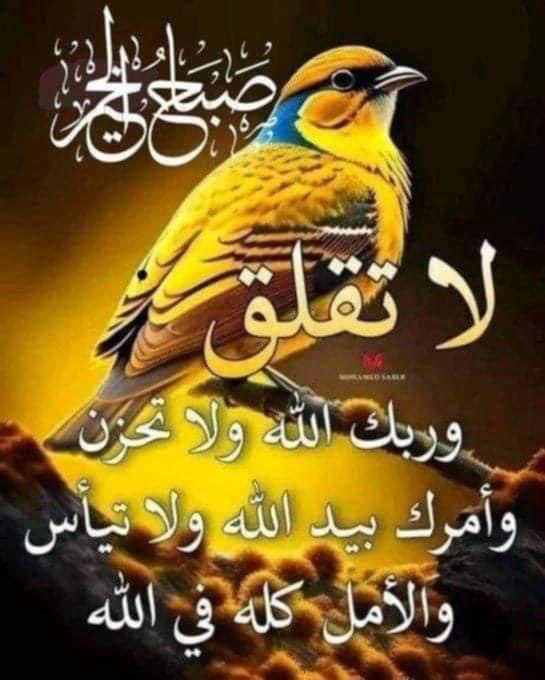 بسم الله الفتاح