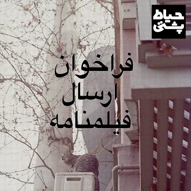 فراخوان دومین رویداد حیاط‌پشتی منتشر شد.