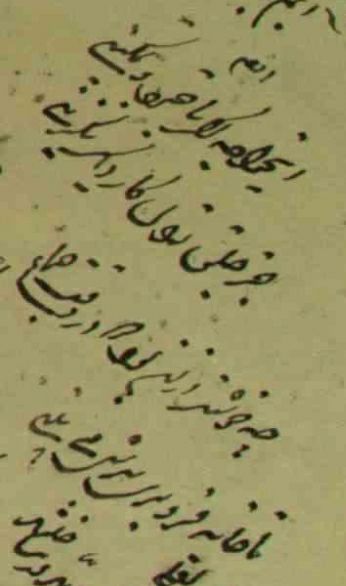 «جلق زدن »