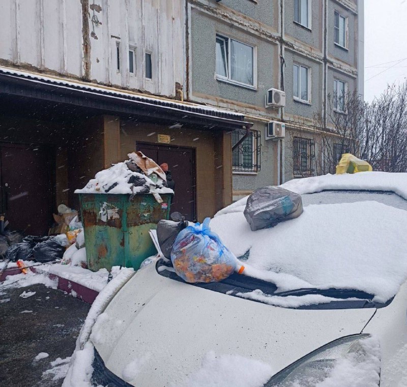 ***🔴*****В Хабаровске наказали водителя за то, …