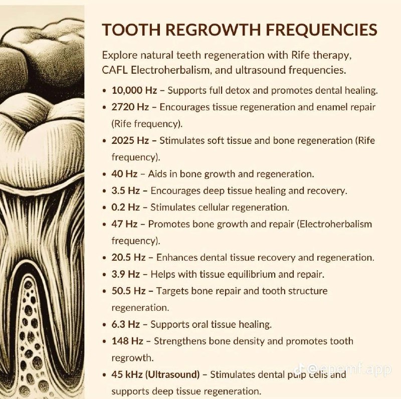 **Key frequencies for tooth regrowth include:**